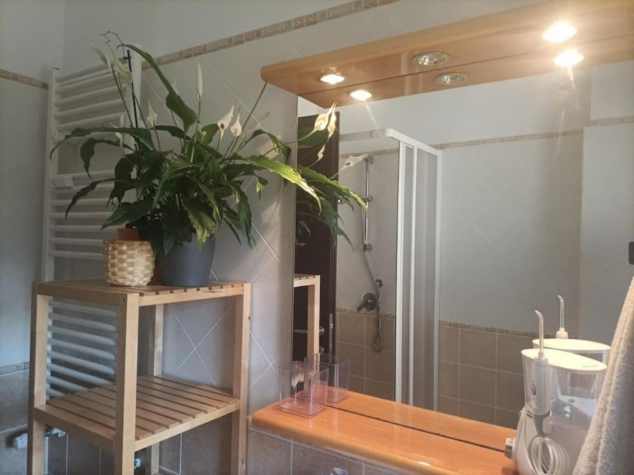 Mia Ginger, Stazione Trastevere Vicinanze ローマ エクステリア 写真